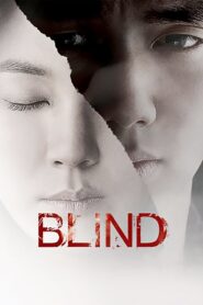 Blind 2011 on netflix