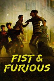 Fist & Furious 2019 on netflix