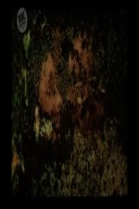 The Lovers 2004 on netflix