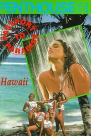 Passport to Paradise: Hawaii 1991 on netflix