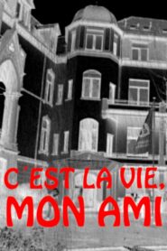 C’est la vie, mon ami 2001 on netflix