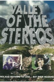 Valley of the Stereos 1992 on netflix