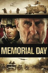Memorial Day 2011 on netflix