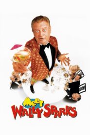 Meet Wally Sparks 1997 on netflix