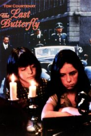 The Last Butterfly 1991 on netflix