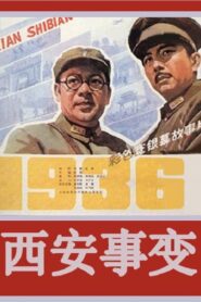 The Xi’an Incident 1981 on netflix