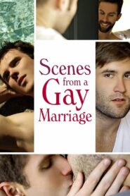 Scenes from a Gay Marriage 2012 on netflix