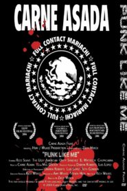 Punk Like Me 2006 on netflix