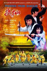 Phoenix from Shaolin 2005 on netflix