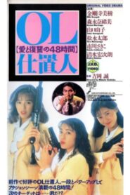 OL punisher 48 hours of love and revenge 1991 on netflix