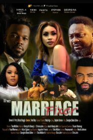 The Marriage Fixer 2022 on netflix