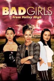 Bad Girls from Valley High 2005 on netflix