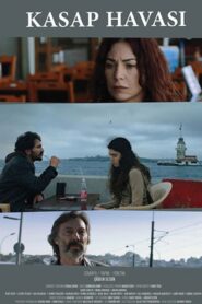 Wedding Dance 2016 on netflix