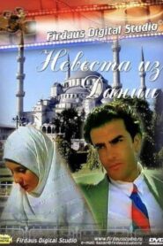 Danimarkalı Gelin 1993 on netflix