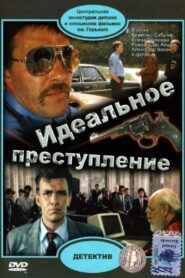 Perfect Crime 1990 on netflix