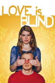 Love Is Blind 2015 on netflix