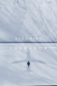 Becoming Labrador 2019 on netflix
