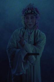 The Peony Pavilion 1988 on netflix
