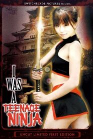 I Was A Teenage Ninja 2007 on netflix