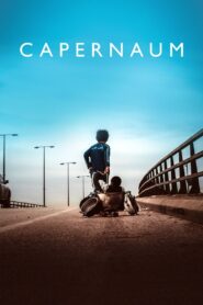 Capernaum 2018 on netflix