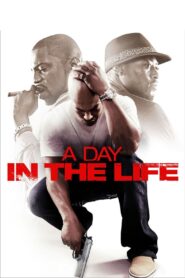 A Day in the Life 2009 on netflix