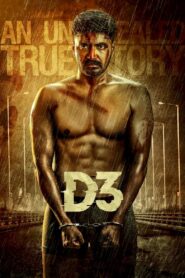 D3 2023 on netflix