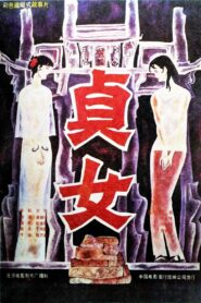 Virtuous Women 1987 on netflix