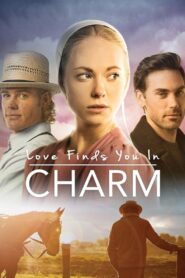 Love Finds You in Charm 2015 on netflix