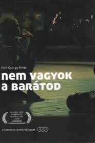 I Am Not Your Friend 2009 on netflix