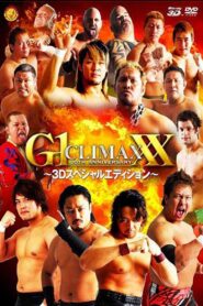 NJPW G1 Climax 20: Day 8 (Final) 2010 on netflix