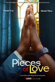 Pieces of Love 2024 on netflix