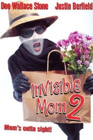 Invisible Mom II 1999 on netflix