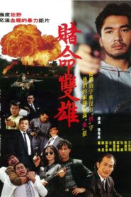 Desperate Duo 1992 on netflix