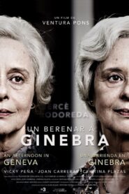 An Afternoon in Geneva 2013 on netflix