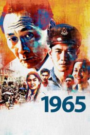 1965 2015 on netflix