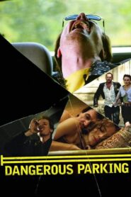 Dangerous Parking 2007 on netflix