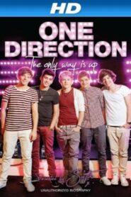 One Direction: The Only Way Is Up 2012 on netflix