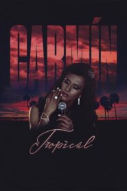 Carmín tropical 2014 on netflix