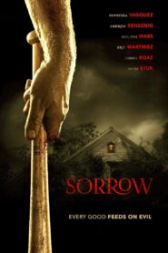 Sorrow 2015 on netflix