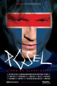 The Messenger 2012 on netflix