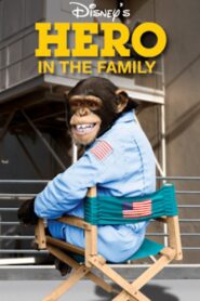 Hero in the Family 1986 on netflix