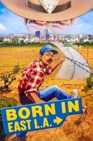Born in East L.A. 1987 on netflix