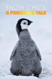Snow Chick – A Penguin’s Tale 2015 on netflix