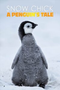 Snow Chick – A Penguin’s Tale 2015 on netflix