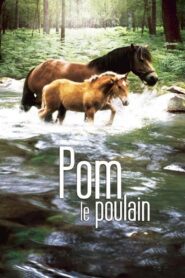 Pom, le poulain 2006 on netflix