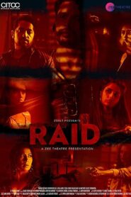 Raid 2019 on netflix