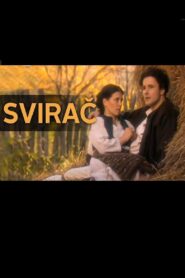 The Musician 1998 on netflix