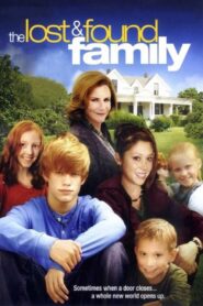 The Lost & Found Family 2009 on netflix