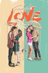 Foolish Love 2017 on netflix