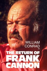 The Return of Frank Cannon 1980 on netflix